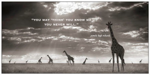 Pamela Leigh Richards » B-W Giraffes SunBeam pamela quote