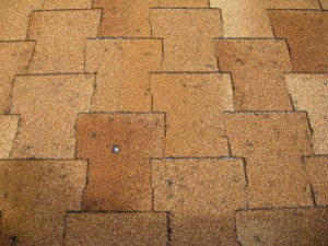 ... shingles skin cincinnati female news reporters shingles and jury duty