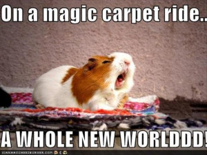 whole-new-world-song-funny-animals.jpg