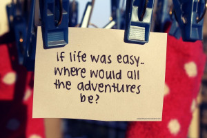 roller coaster ride by plastickheart