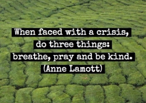 Love this Anne Lamott quote