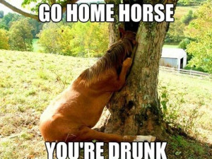 horse stuck in a tree