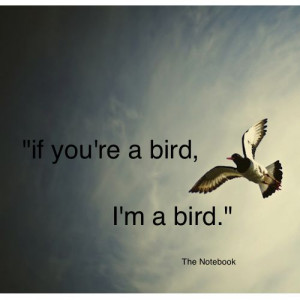 if you re a bird i m a bird the notebook this one is for pamela tumm