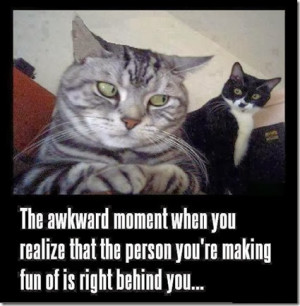 The Awkward Moment When You Realize… |Awesome Hilarious Wallpaper