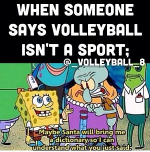 Volleyball not a sport? Say what?