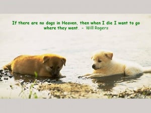 If There Are No Dogs In Heaven