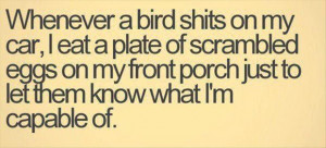 quotes, whenever a bird shits on my car i eat a plate of scrambled ...
