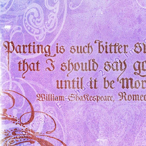 Romeo and Juliet quotes | ... Responses To Shakespeare Love Quotes ...