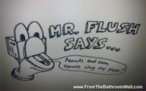 bathroom-graffiti-mr-flush