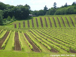 temperance brennan salary