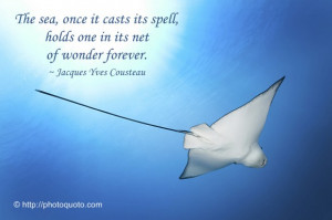 The sea, once it casts its spell, holds one in its net of wonder ...