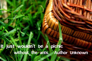 Picnic Quote