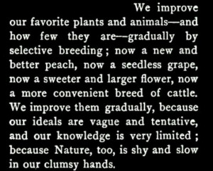 Hg Wells Time Machine Quotes