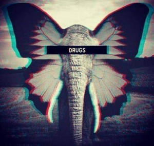 beauty, butterfly, dead, death, drugs, elephant, faza, ferever, g ...