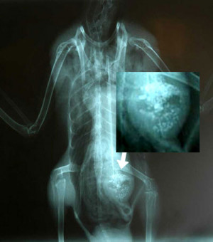 was abducted by aliens