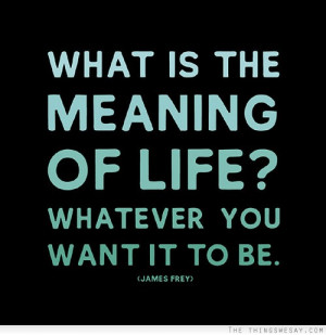 What is the meaning of life? Whatever you want it to be