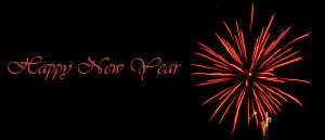Panoramic New Years card with orange firework on black night sky.