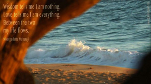 Wisdom tells me I am nothing.