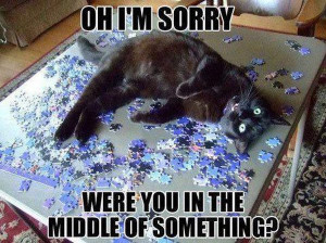 Oh I'm Sorry! - Cat humor