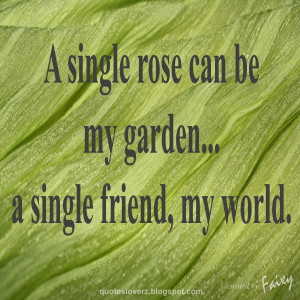 single rose can be my garden… a single friend, my world.