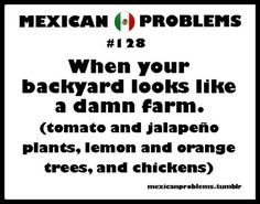 mexican problems just nor the last two more mexicans pride mexicans ...