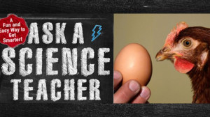 Ask a science teacher: Which came first, the chicken or the egg?