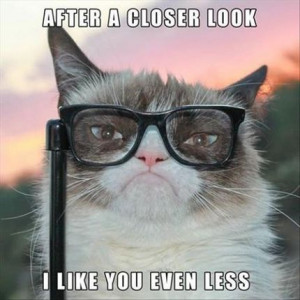 grumpy cat has glasses
