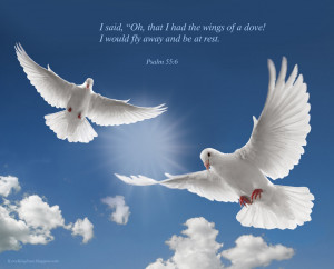 Psalm 55:6 – Like A Dove Papel de Parede Imagem