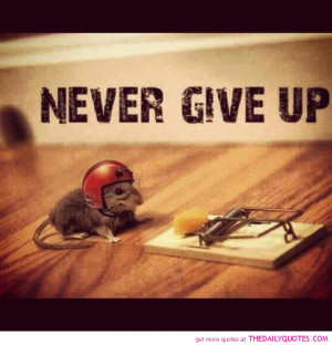 More Quotes Pictures Under: Motivational quotes