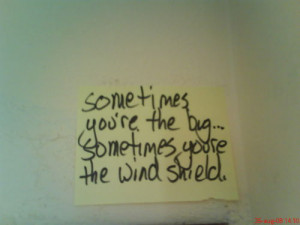 bug wind shield quote life