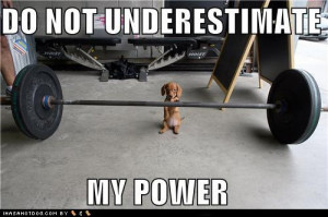 cute-puppy-pictures-do-not-underestimate-my-power.jpg