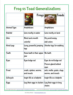 Frog and Toad: Facts and Fiction