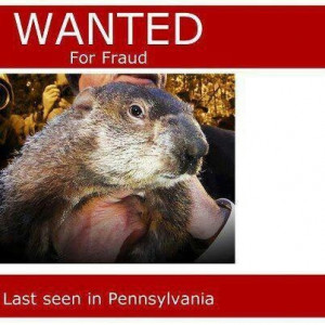 Anyone for some groundhog stew.