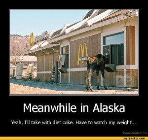 Meanwhile in AlaskaYeah, I'll take with diet coke. Have to watch my ...