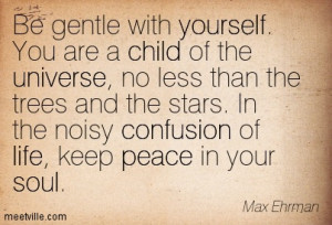 ... The Stars. In The Noisy Confusion Of Life, Keep Peace In Your Soul