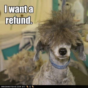 funny-dog-pictures-dog-wants-a-refund-on-his-haircut