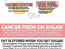 The sugar addiction! Break the cycle! #plexus https://www.youtube.com ...