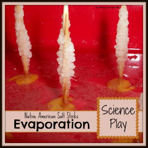 Native American Salt Sticks - Science Play