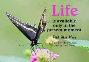 Life is available only in the present moment. ― Thich Nhat Hanh ...