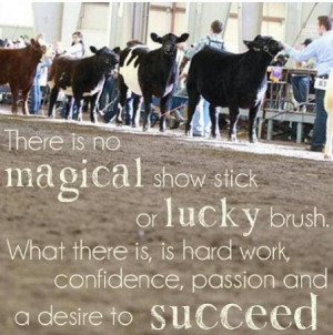 Some Good Barrel Racing Quotes