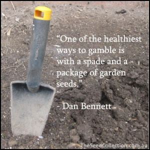 gardening quotes - Google Search