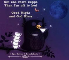 Good night owl quote via Ups, Downs, & Roundabouts at www.facebook.com ...