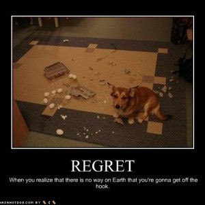 Funny Quotes about Regret