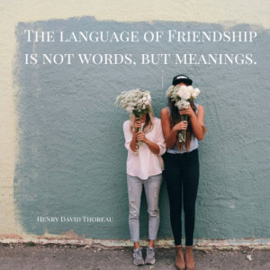 quote qbout frienship The language of Friendship is not words,