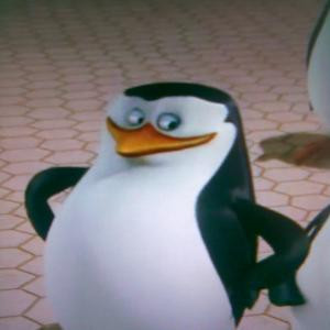 Skipper-the-penguin-penguins-of-madagascar-11603927-1024-1280 ...