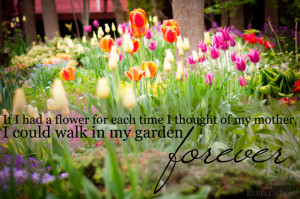 Mother Day Quotes Garden