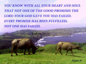 God has promise to be with you always, hear your prayers, forgive,and ...