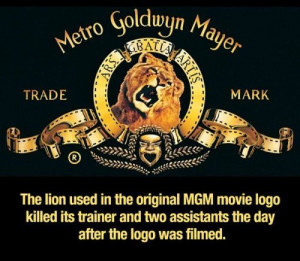 Funny Pictures, Quotes, Pics, Photos, Images. Videos of Really Very ...