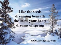 ... dreaming beneath the snow your heart dreams of spring | Sayings 123