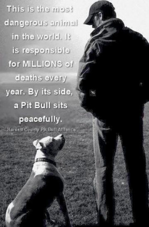 Humans are the dangerous ones.